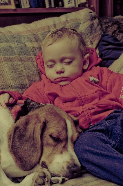 baby sleeping with beagle