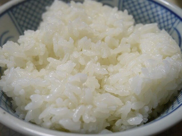 Homemade Beagle Food rice