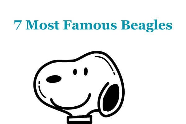 most famous beagles